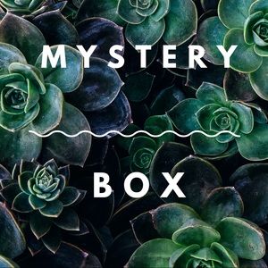 Mystery box will be specialized per posher